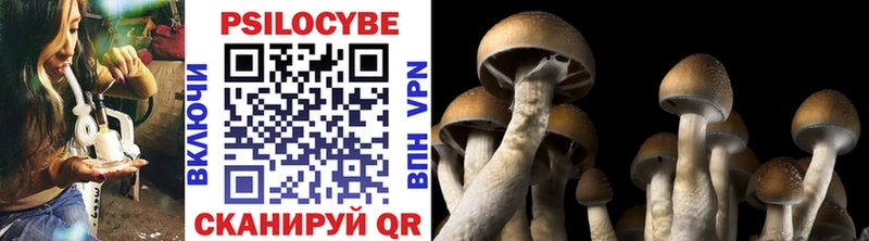 Галлюциногенные грибы Psilocybe  где купить наркотик  ОМГ ОМГ tor  Сочи 